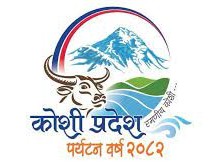Local Government Logo